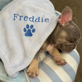Personalised Dog Blanket with 8 Design Styles