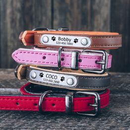 Personalized Leather Dog Collar ( with 2 size )