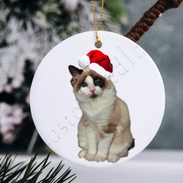 Personalized Pets Christmas Ornament