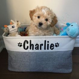 Personalized Foldable Dog Toy Storage Bag